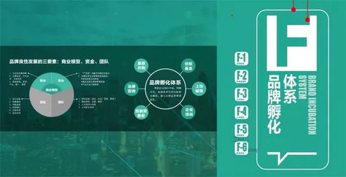 光合項目 從洋河創(chuàng)意設計中心看文化創(chuàng)意產業(yè)園的品牌化之路